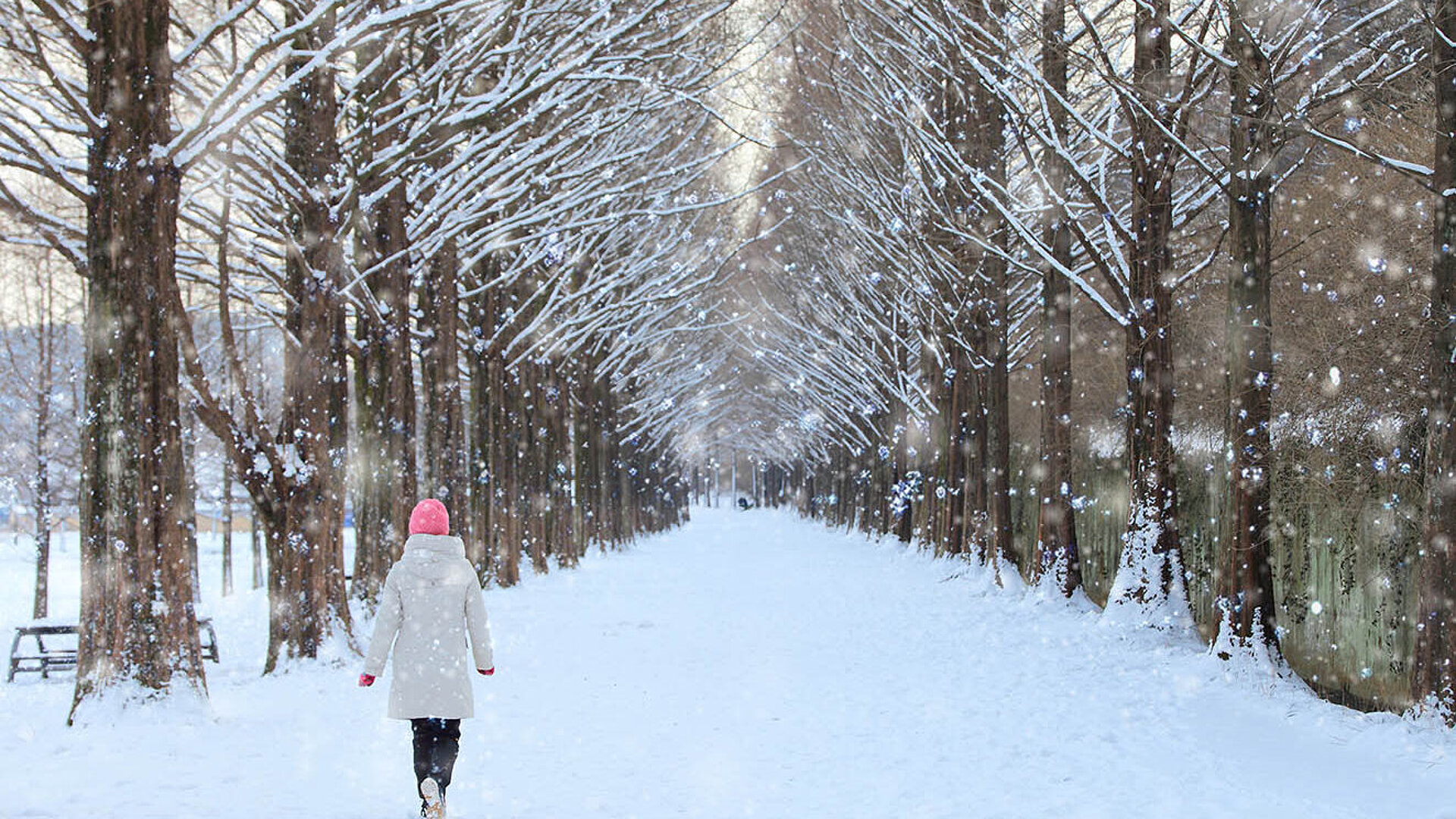 © 미정 최 - AdobeStock.com Person spaziert eine verschneite Allee entlang, umgeben von winterlichen Bäumen und sanft fallendem Schnee.