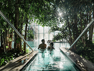 Palmenoase © Badeparadies Schwarzwald Zwei Personen entspannen im Indoor-Pool mit tropischer Begrünung und Tageslicht
