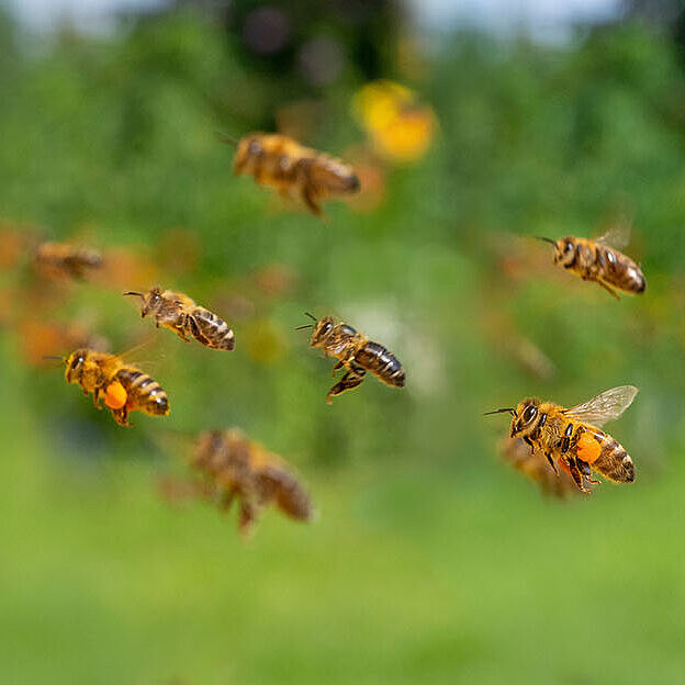 © Vera Kuttelvaserova - AdobeStock.com © Vera Kuttelvaserova - AdobeStock.com